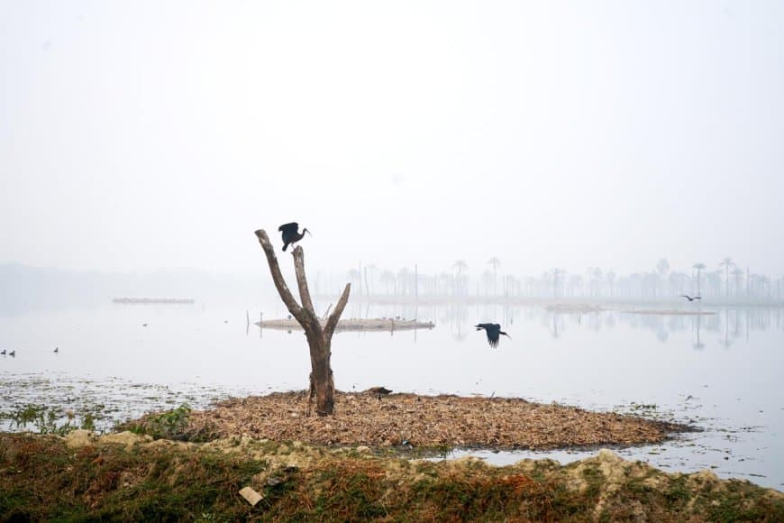 World Wetlands Day Celebrated at Surajpur Bird Sanctuary