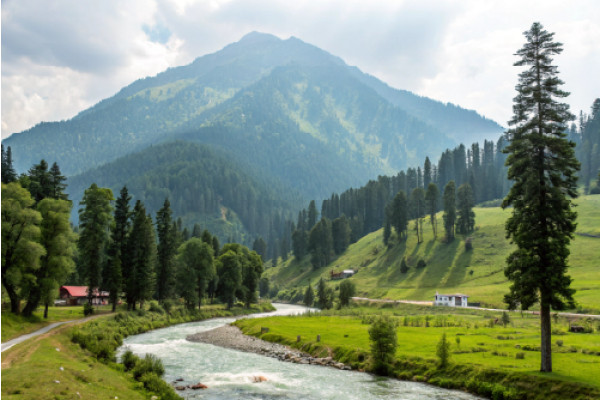 Kashmir