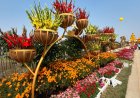 Noida and Greater Noida Gearing up For Flower Shows in February
