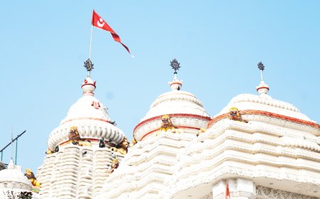 Noida's Sector 121 Jagannath Temple turns one