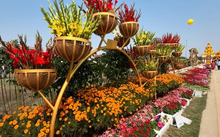 Noida and Greater Noida Gearing up For Flower Shows in February
