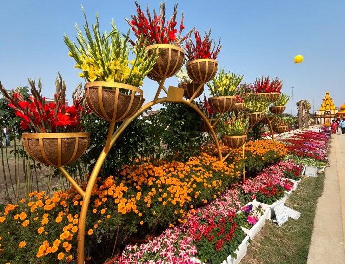 Noida and Greater Noida Gearing up For Flower Shows in February