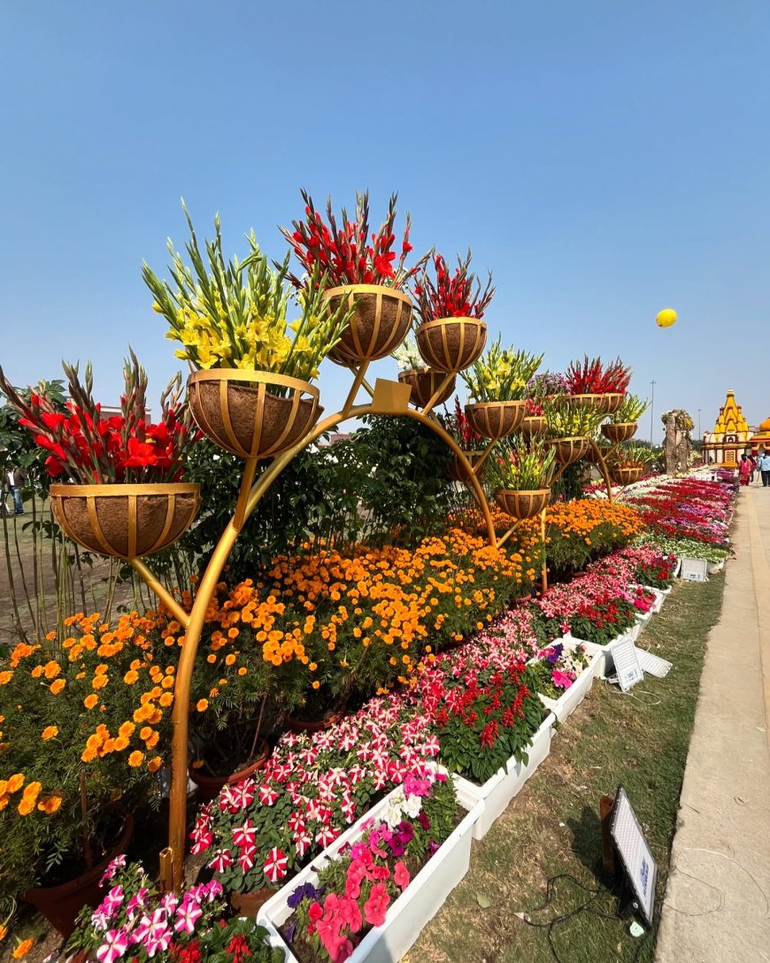 Noida and Greater Noida Gearing up For Flower Shows in February
