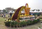 Flower Show: Noida’s 38th Vasant Utsav Begins