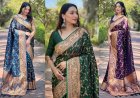 5 Different Types Of Silk Sarees In India