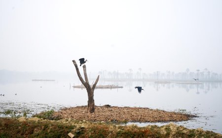World Wetlands Day Celebrated at Surajpur Bird Sanctuary