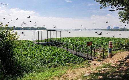 Noida and Greater Noida To Get 6 Water Police Outposts