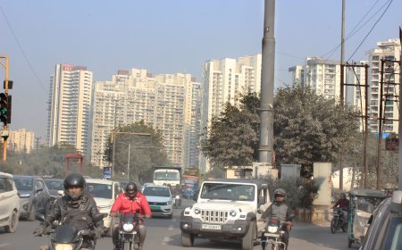 Noida CEO Removes Six Sanitation Staffers, Warns Contractor