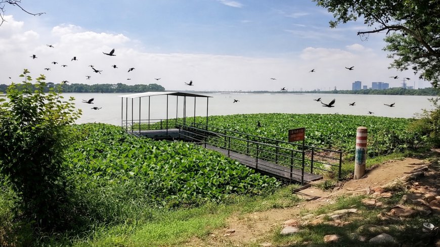 Noida and Greater Noida To Get 6 Water Police Outposts