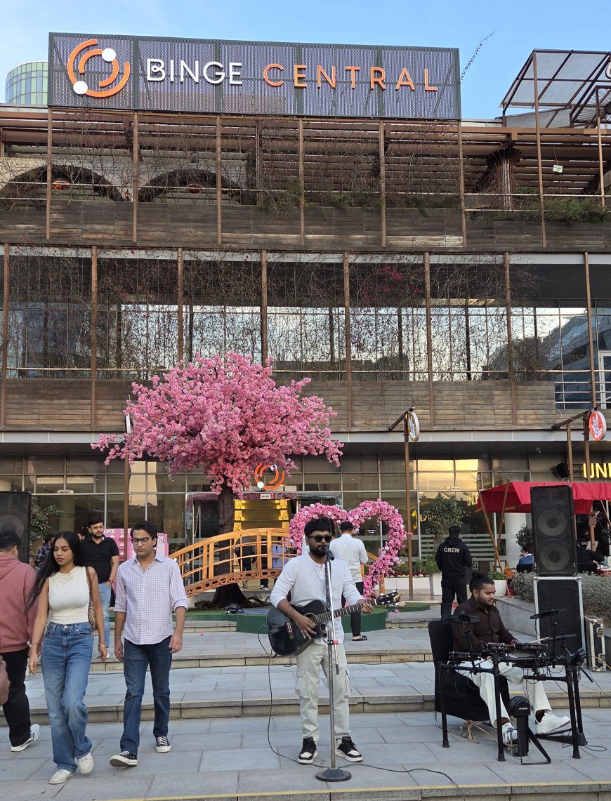 Binge Central Brings Japan To Noida's Sector 62 This Valentine