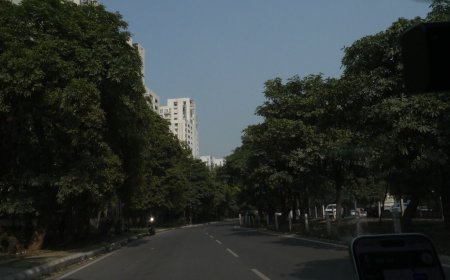 12-Acre Miyawaki Green Cover to Come Up in Greater Noida Under Authority’s Green Initiative