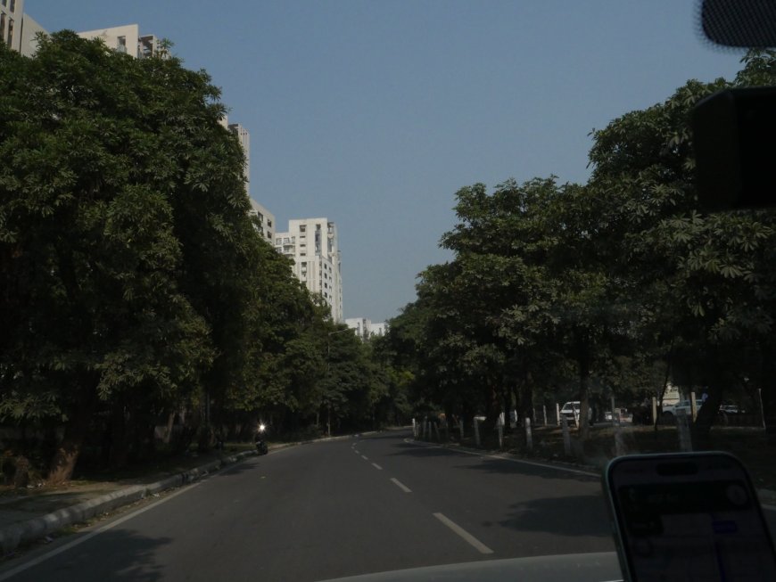 12-Acre Miyawaki Green Cover to Come Up in Greater Noida Under Authority’s Green Initiative